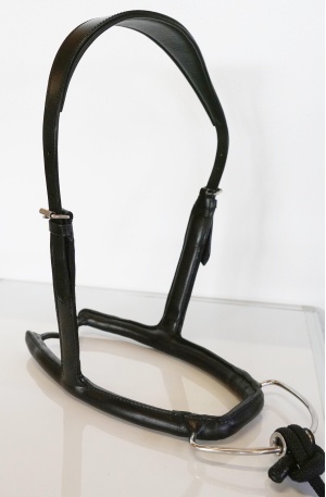 Mobility Bridle 