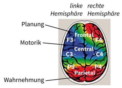 EEG