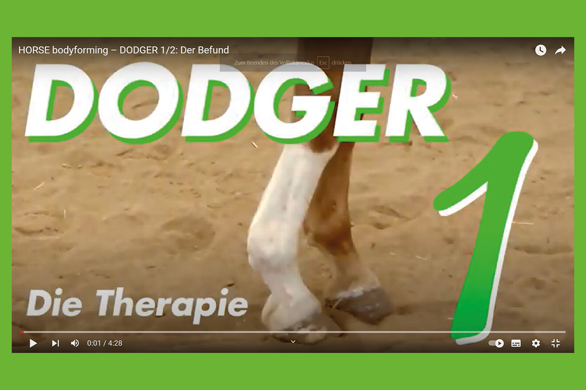 Dodger - Teil 1