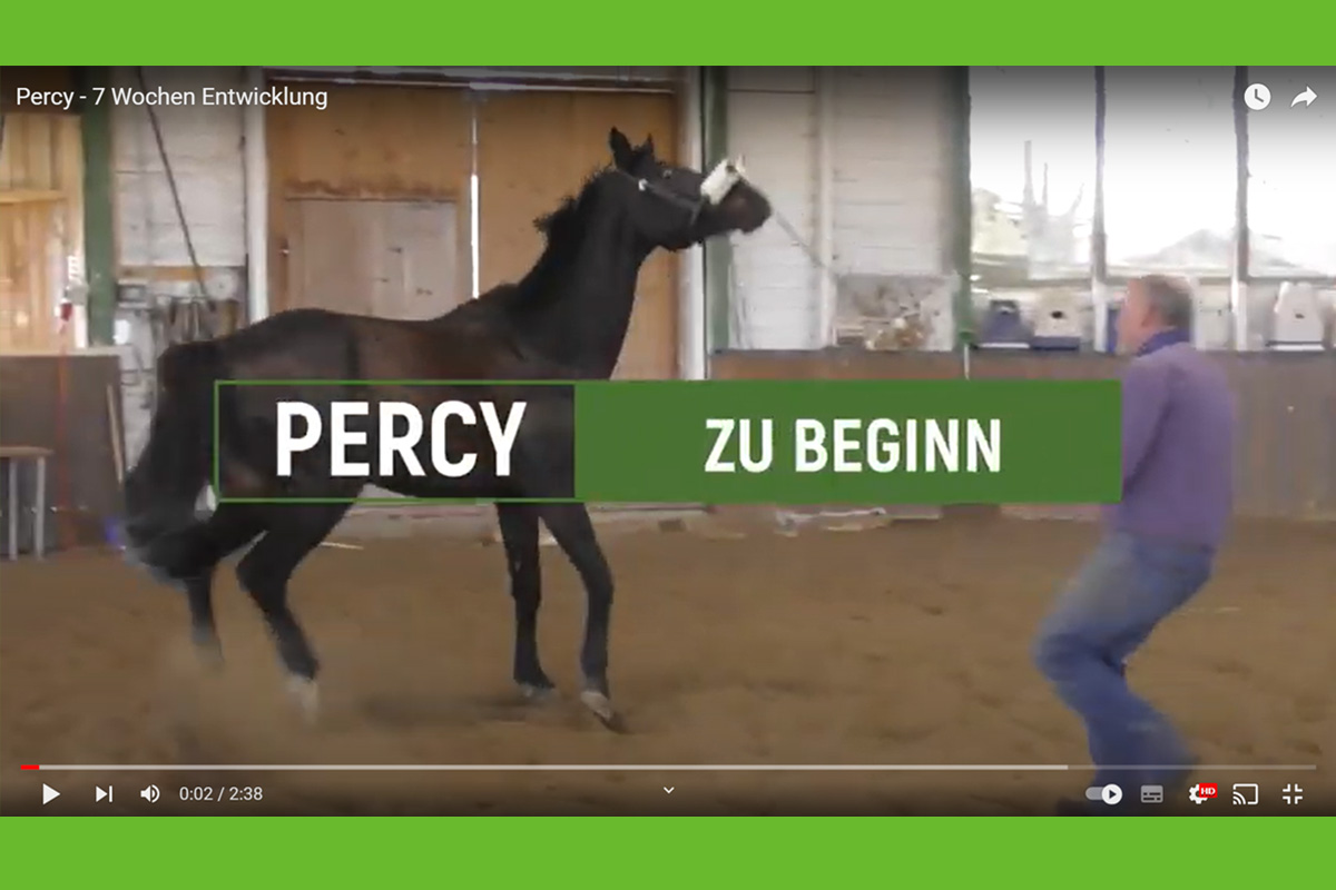 Percy