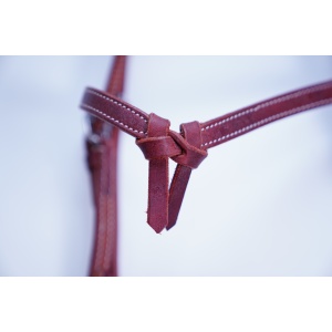 baby_headstall_2
