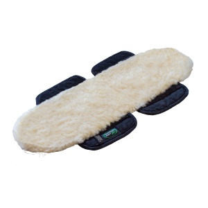 test_transparent